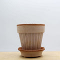 Simona Terracotta Pot and Saucer – Raw Rosa 14cm
